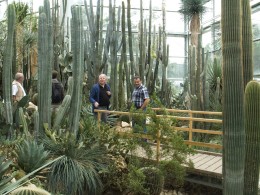  Jahresausflug Frankfurt Palmengarten 20
